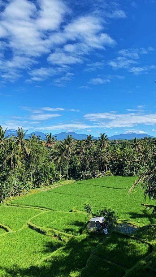 Nirwa Ubud Karma Екстериор снимка