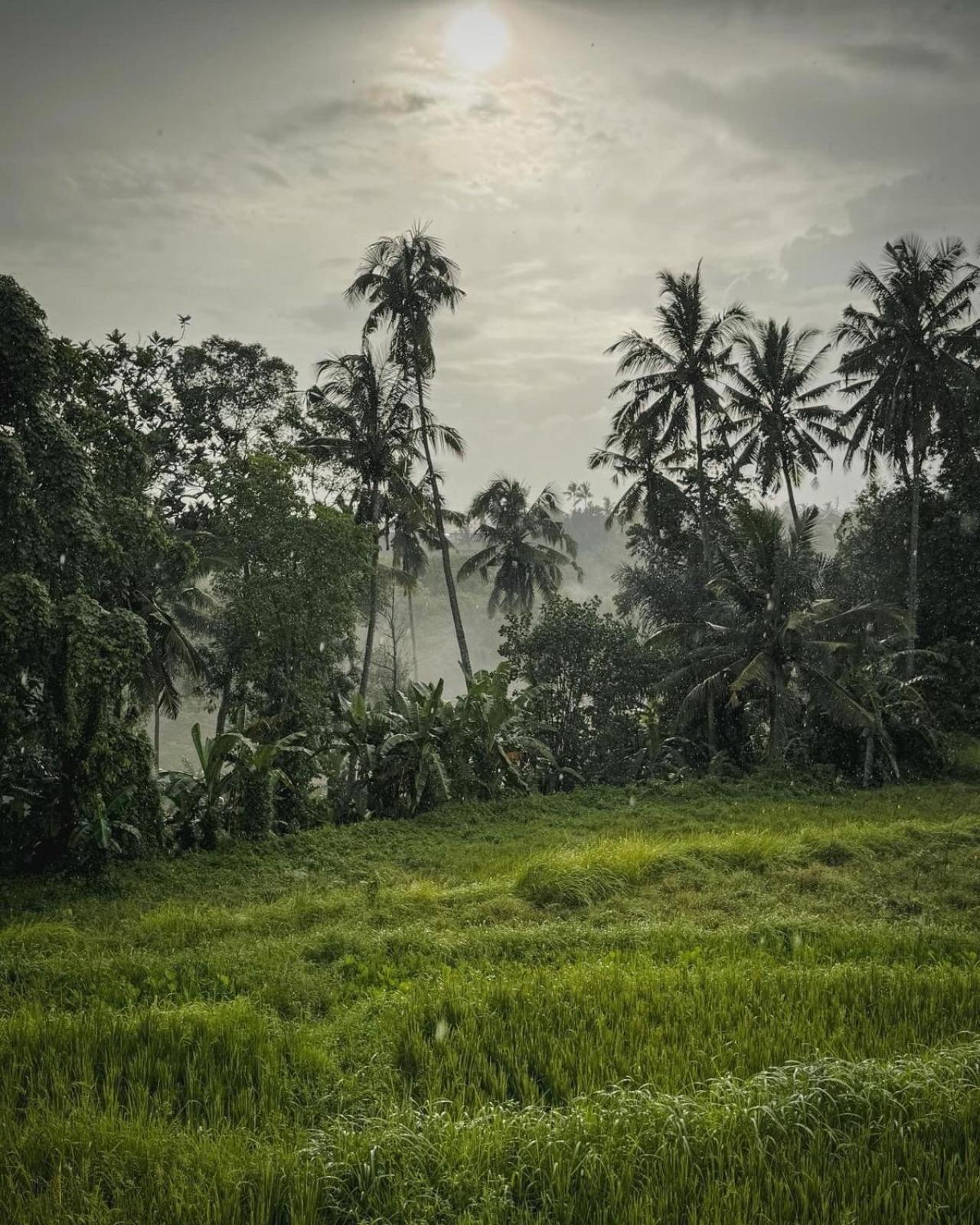 Nirwa Ubud Karma Екстериор снимка