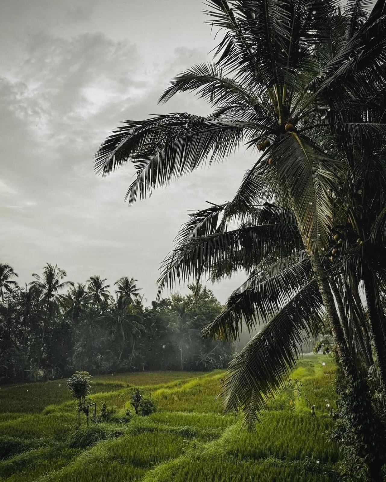 Nirwa Ubud Karma Екстериор снимка